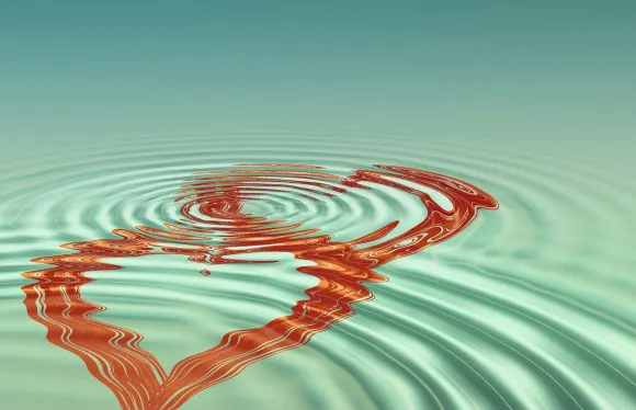 Casigo Kasino Support